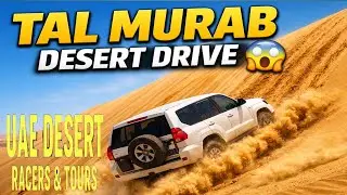 Tal Murab Desert Adventure 🇦🇪 | Cars on Sandy Hills & Desert Rodeo | UAE Desert Race Tour#shorts