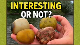 We Found REAL Gems in Arkansas River Rocks!