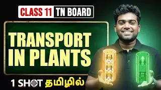 TRANSPORT IN PLANTS in One shot | BOTANY in Tamil | Class 11 TN Board