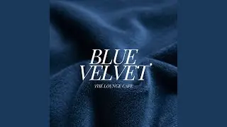 Velvet Evenings