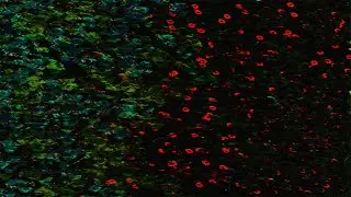 AkZeNT - Ratatata [Official Visualizer]