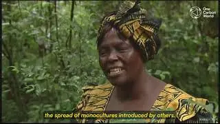 The Power of Forests - One Carbon World