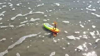 Sumatra Sam Beach toy - Surfer Dude Softtop Foilboard
