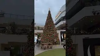 Christmas Tree (2023-12-20, Ovation Hollywood, Los Angeles, CA) [4K]