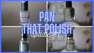 Pan That Polish || Update # 1