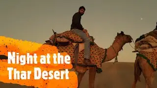 பாலைவனத்தில் ஓர் இரவு | Wild safari | Rajasthan Vlog | Tamil | UV Travel Vlogs