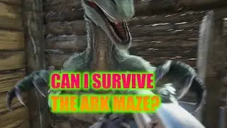 THE ARK MAZE