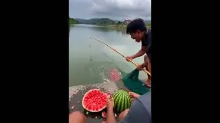 No Bait, No Hook &mdash; Just Watch What the Fish Do #fishingexperiment #river #nature #rawvideo