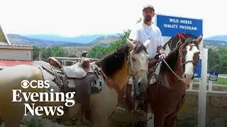Program that let Colorado prisoners work with wild horses coming to an end