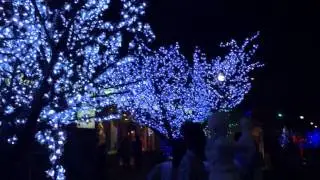 Glow Fair 2015 in Ottawa
