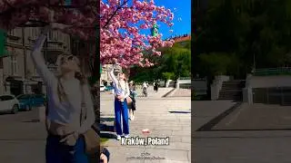 Krak&oacute;w: Most Beautiful 😻 City of Poland 🇵🇱#travel #poland #explore #krakow #trending #ytshorts