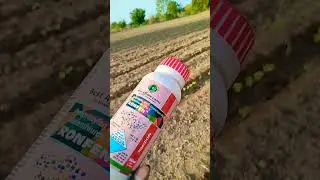 best pesticides for cotton