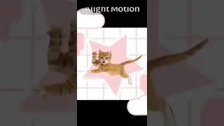 Everybody do the flop #FLOP #cat #ginger #Animation
