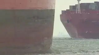 New port fees could make everyday goods more expensive, experts warn