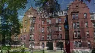 photo | Harvard university pic