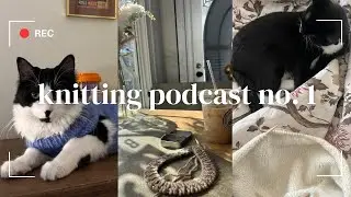knitting podcast #1 | new knitter, oslo hats, cat sweaters, and my first knit garments!