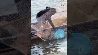 ￼ X&uacute;c c&aacute; linh