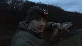 Лагерь-гамак на пойме реки Соло и мои первые две рыбы