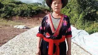 15 tháng 12, 2024
