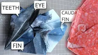 Origami 101 - How To Shape Like A PRO - Sea Bream Full Analysis