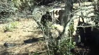 HOLY COWZ AirSoft Field 2/16/2014