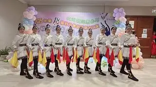 《白马》29 November 2025