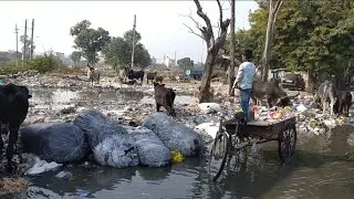An ordinary day in Delhi India | part of daily life