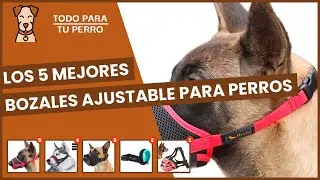 Los 5 mejores bozales ajustable para perros