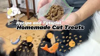Homemade Cat Treat Recipe | Quick & Tasty Snacks for Your Cat