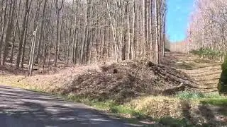 2.49 acres Drive in, Yancey NC