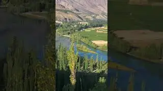 GB ghizer Beauty of pander