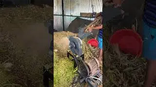 Vidhata jf 5D chaff cutter jo 80000 ko mila kya apne kabi aisa cutter dekha hai?#viral #shorts #new