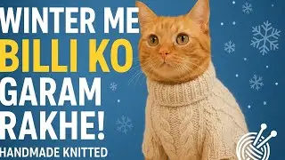 &ldquo;Winter Me Billi Ko Garam Rakhe! Handmade Knitted Sweater Design Tutorial 😻🧵❄️&rdquo; #cat #petlovers #yt 