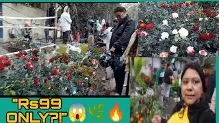 Reasonable Price Plant Market | Plants, Pots, Flowers & Khad 🌿 | Kolkata Galiff Street Market 🌸