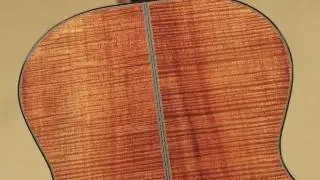 Olson SJ Guitar at Guitar Gallery of TN