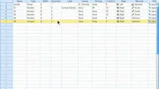 SPSS 19 Training : Adding and Deleting Variables