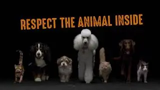 CRAVE PETFOOD: 'HUNTER' TV AD