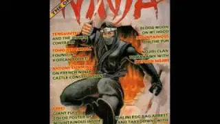 Ninja mag 3
