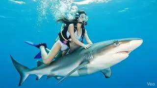 Riding on a Shark. 🦈 For @CuteKila2009.