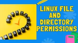 Linux File and Directory permission in Shell Scripting #linux #shellscripting #touchstarinstitute
