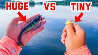 MICRO Swimbait vs. HUGE Swimbait Fishing Challenge