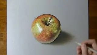 Disegno realistico in timelapse: una mela