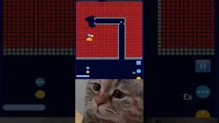 #viral #funny #funnyvideo #satisfying #overfunny #shorts 😂😂😂😂