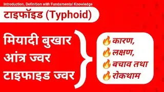 🔥 Typhoid in hindi | टाइफाइड बीमारी क्या है और टाइफाइड कैसे होता है 🤒 कारण लक्षण बचाव तथा उपचार 