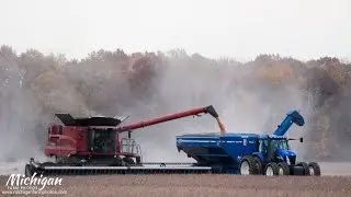 Case-IH 7240 and New Holland TG285 harvest soybeans in Michigan!