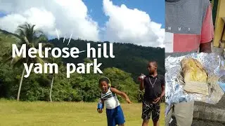 Melrose hill Yam Park