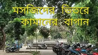 কামানের বাগান @PlateauOfSpirits  #masjid  #tipu_sultan #mosque #tipusultan #kolkata #jadabpur