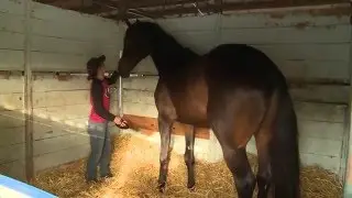 In The Barn With Mighty Nice at 2016 Rolex Kentucky Three-Day Event