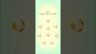 Ещё 9 яиц 5 км! Можно ли получить блестящий Indeedee? Pokemon Go! #pokemon #pokemongo #pok&eacute;mon