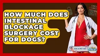How Much Does Intestinal Blockage Surgery Cost For Dogs? - Ask A Pet Vet
